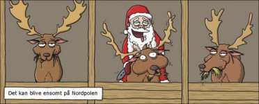 Ensomt på Nordpolen