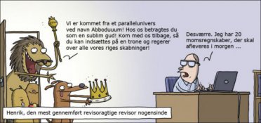 Verdens mest revisoragtige revisor