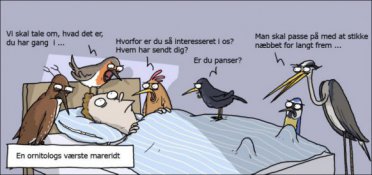 En ornitologs værste mareridt