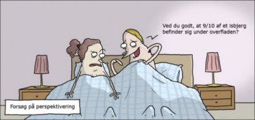 Forsøg på perspektivering