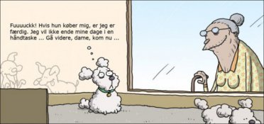 I dyrehandlen
