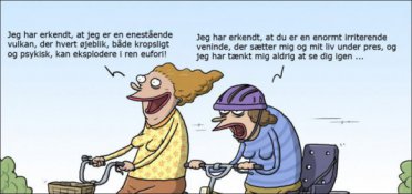 Jeg har erkendt ...