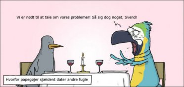 Hvorfor papegøjer sjældent dater andre fugle