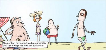 Ninjaer om sommeren