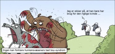Kvinder og bad boys