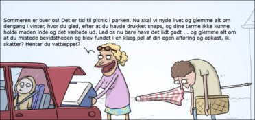 Hyggelig sommerpicnic med familien