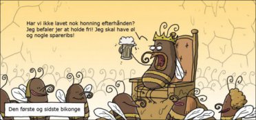 Den første og sidste bikonge