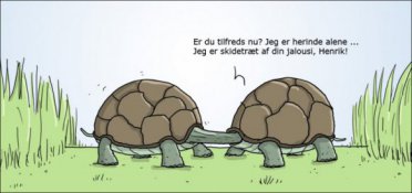 Henrik, den jaloux skildpadde