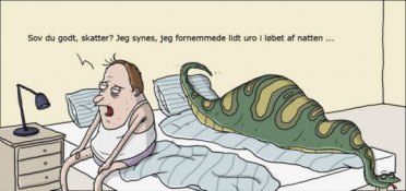 Sov du godt i nat, skatter?