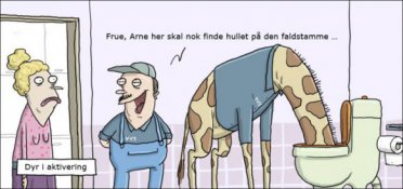 Dyr i aktivering