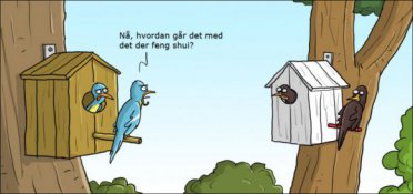 Hvordan går det med det feng shui?