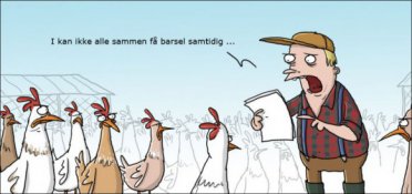 Barselsforhandling på gården