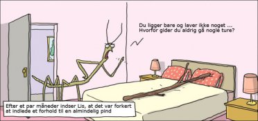 Pindeforhold