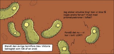 Vi bor i lort