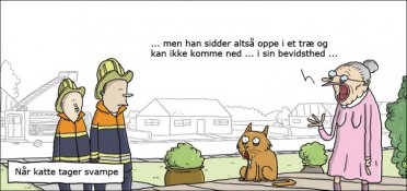 Kat på stoffer