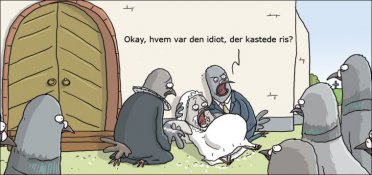 Bryllup og duer