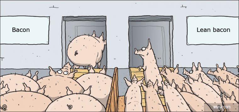 How they make those lean meat products