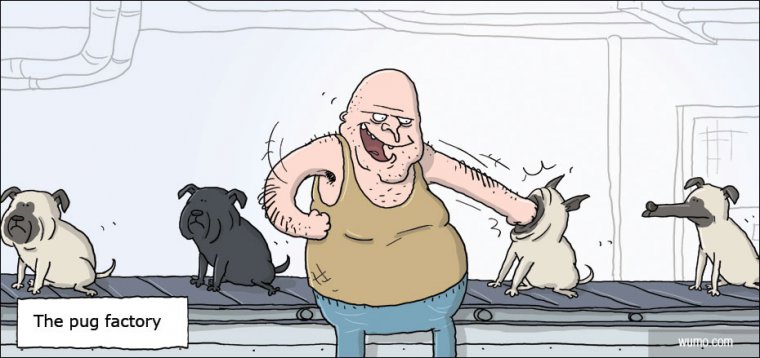 The pug factory