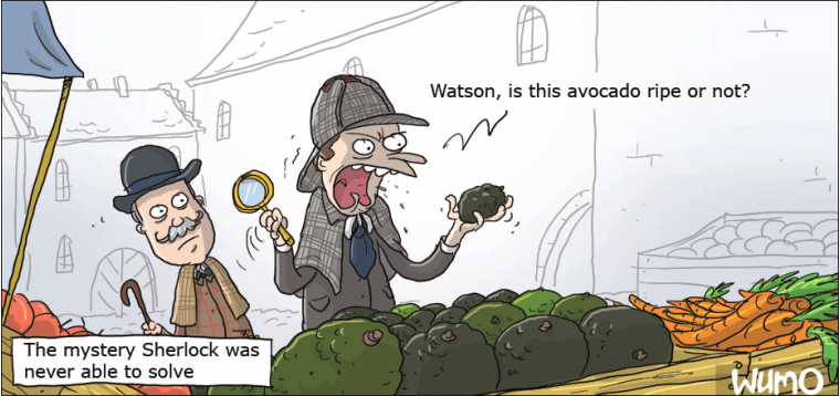Sherlock's ultimate mystery