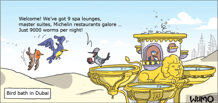 Bird bath in Dubai