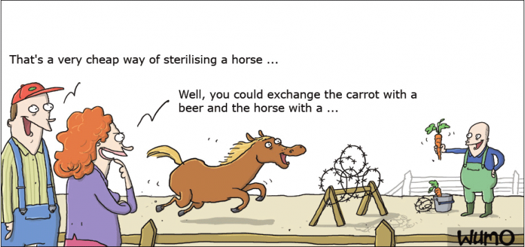 Cheap sterilisation is all the rage nowadays 