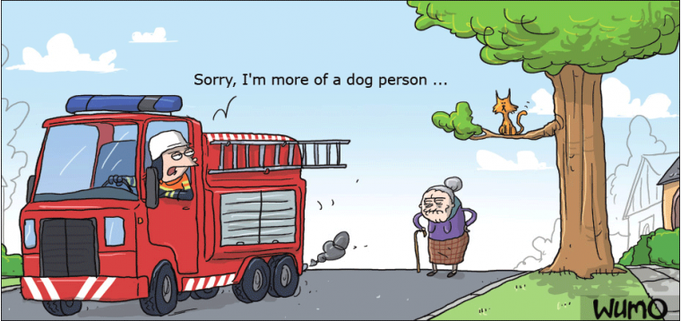 Dog person vs. cat person