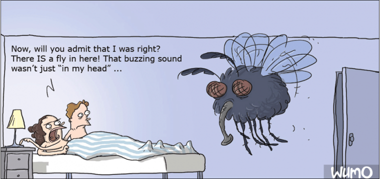 I told you there was a fly in here!