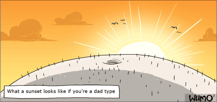 A sunset for a dad bod