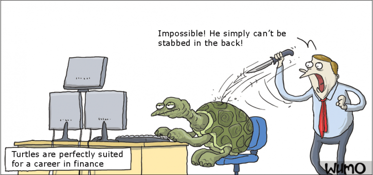 Turtles in finance