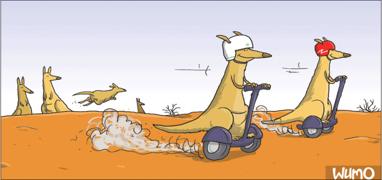 Segway kangaroos