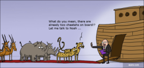 Getting into Noah's ark
