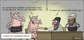 Suicide pigs