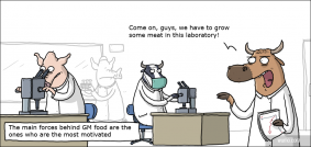 Meat in the laboratory