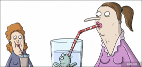 Who's drinking who?