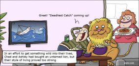 Comfort beats the wild again