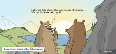 Hibernation