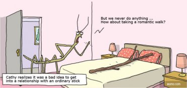 Stick relationship