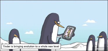 Evolution 