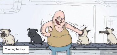 The pug factory