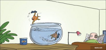 Fish bowl skaters