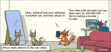 Who's behind all these cat videos?