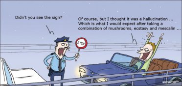 Hallucinating driver