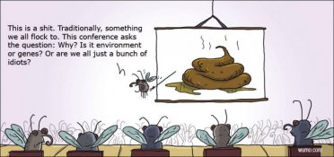 Like a fly on shit