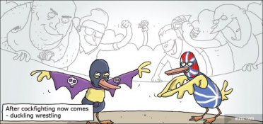 Forget cockfighting