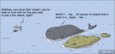 Is it a whale?!