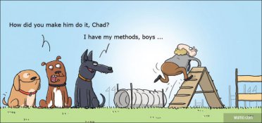 Agility for humans