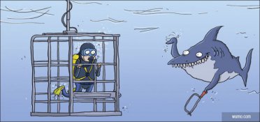 A shark with a hacksaw