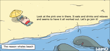 Beached whale