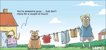 Who needs a new clothes line?