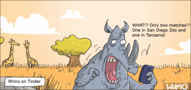 Rhino on Tinder